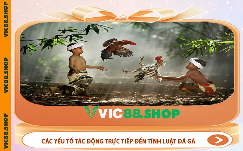 Các yếu tố tác động trực tiếp đến quy trình tính luật đá gà