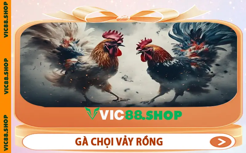Gà Chọi Vảy Rồng
