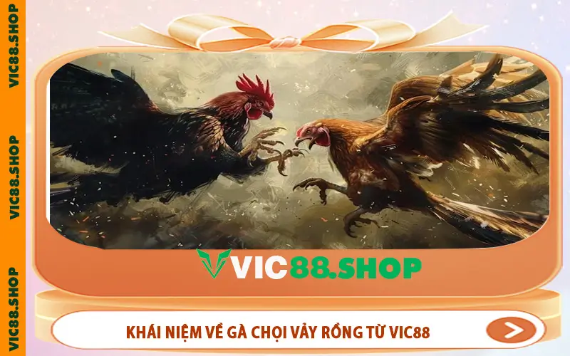 Khái niệm về gà chọi vảy rồng từ VIC88