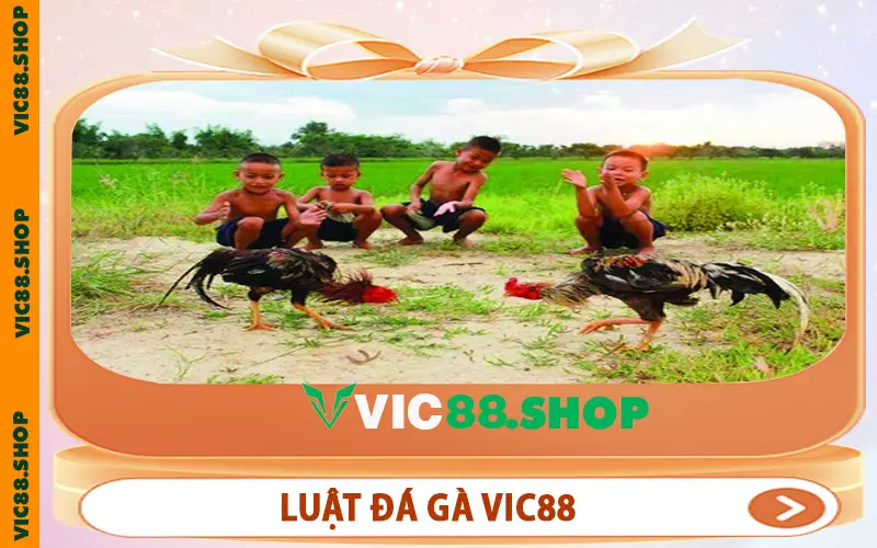Luật Đá Gà VIC88