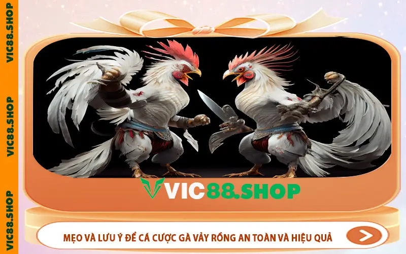 Mẹo và lưu ý để cá cược gà vảy rồng an toàn và hiệu quả