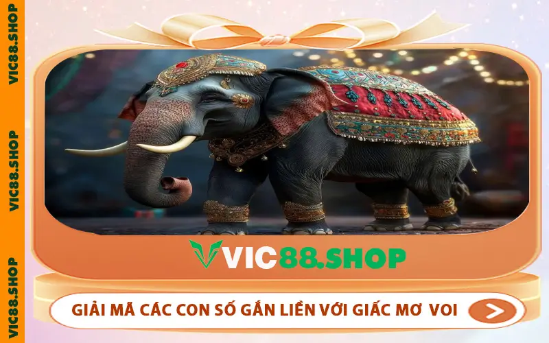 Giải mã các con số gắn liền với giấc mơ voi ở VIC88