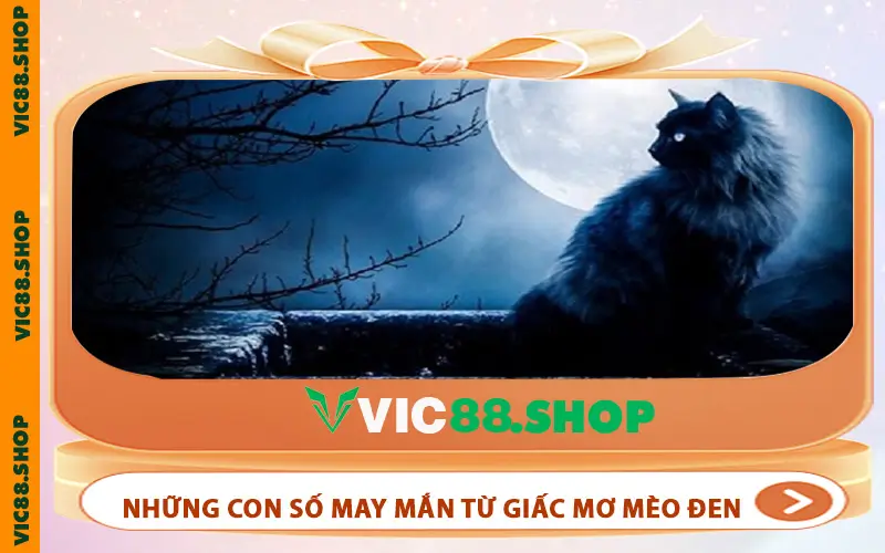 Những con số may mắn từ giấc mơ mèo đen