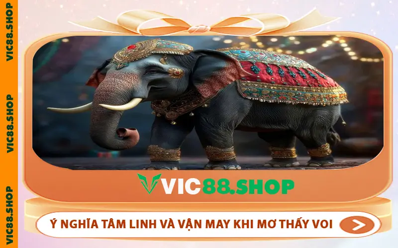 Ý nghĩa tâm linh và vận may khi mơ thấy voi